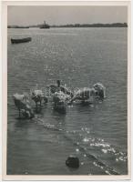 cca 1930-1940 Kinszki Imre (1901-1945): A Duna partján, pecséttel jelzett vintage fotó, 18x13 cm