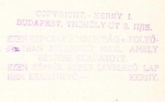 cca 1920-1930 Kerny István (1879-1963): Aszófői virágos udvar, pecséttel jelzett vintage fotó, 17x23...