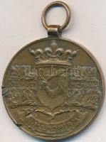 1908. "Bosznia-Hercegovinai Emlékérem" Br kitüntetés mellszalag nélkül (36mm) T:2-
Hungary...