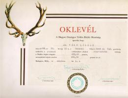 Hatalmas szarvasbika trófea oklevéllel, ezüstéremmel