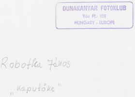 cca 1970-1980 Robotka János: Kaputőke, vintage fotó, feliratozott, 18x24