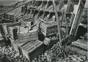 1975 Csík Ferenc (1894-1984): Kirakat, vintage fotó, aláírt, feliratozott, 17x24 cm