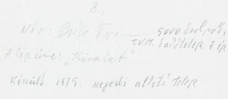 1975 Csík Ferenc (1894-1984): Kirakat, vintage fotó, aláírt, feliratozott, 17x24 cm