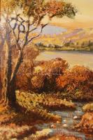 Dallos Ferenc (1928-2001): Kilátás a tóra. Olaj, farost, jelzett, szép keretben, 60×80 cm