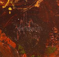 Dallos Ferenc (1928-2001): Kilátás a tóra. Olaj, farost, jelzett, szép keretben, 60×80 cm