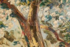 Illencz jelzéssel: Virágzás. Olaj, vászon, keretben, 60×80 cm