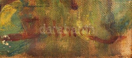 Illencz jelzéssel: Virágzás. Olaj, vászon, keretben, 60×80 cm