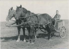 1942 Thöresz Dezső (1902-1963): Társzekéren. A 2. magyar hadsereg kivonulása a Don-kanyarhoz. A szerző az oda utat fényképezte, kb. 130-150 eredeti negatív őrzi a katonák harctérre vonulását, ez a kép mai másolat a gyűjteményben található eredeti negatívról, 12x17 cm / military photo, cart