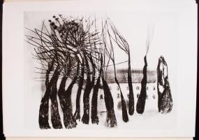 1976 Szántó Piroska album, 12 db színes ofszet, teljes, 40×28 cm