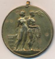 Sződy Szilárd (1878-1939) DN. "Budapest Székesfőváros Versenydíja" Br érem mellszalag nélk...