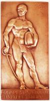 Sződy Szilárd (1878-1939): Vívó férfi. Réz falikép, jelzett, 23×11,5 cm
