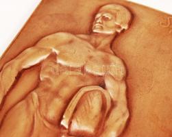 Sződy Szilárd (1878-1939): Vívó férfi. Réz falikép, jelzett, 23×11,5 cm