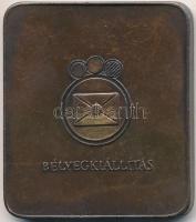 DN "Magyar Bélyeggyűjtők Országos Szövetsége / Bélyegkiállítás" Br emlékplakett (40x46mm) ...