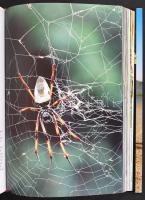 Attenborough, David: A gerinctelenek élete. Kiadói egészvászon kötés védőborítóval, rengeteg színes ...