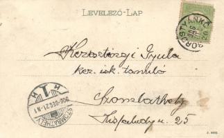 Borostyánkő, Bernstein; Vár, Egán-féle villa; kiadja Polster János / castle, Villa Egán