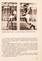 Borbély Pál: Labdarúgó Világbajnokság 1966. Bp., 1966, Sport. Kiadói papírkötés, jó állapotban