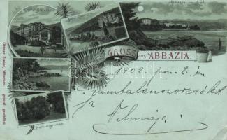 Abbazia, Palms, Hotel Stefanie, Hotel Guarnero, floral, Art Nouveau, litho (EK)