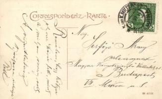 Bjelina, Bijeljina; Etablissement Weil am Hauptplatz / main square, Arpad Weil's Hungarian good...