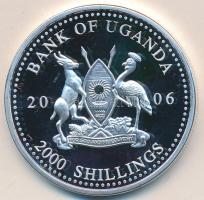 Uganda 2006. 2000Sh Ag "A labdarúgás halhatatlanjainak csarnoka - Spanyolország 2000-es évek/Fernando Hierro" T:PP Uganda 2006. 2000 Shilling Ag "Hall of Fame of football - Spain 2000's/Fernando Hierro" C:PP