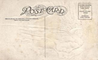 Eagle feather & Squaw, Native American folklore, Emb.; H. H. Tammen 3432. s: L. Peterson