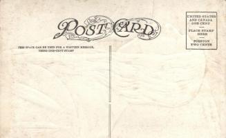 Chief Black Hawk, Native American folklore, Emb.; H. H. Tammen 3433.; L. Peterson