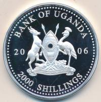 Uganda 2006. 2000Sh Ag "A labdarúgás halhatatlanjainak csarnoka - Franciaország 1980-as évek/Michel Platini" T:PP Uganda 2006. 2000 Shilling Ag "Hall of Fame of football - France 1980's/Michel Platini" C:PP