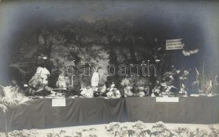 Basel, Poultry Exposition, photo