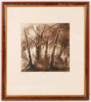 Olexa József (1960-): Erdőrészlet. Rézkarc, papír, jelzett, üvegezett keretben, 20×19 cm