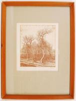 Sipos István (1945-): Kopasz fák. Rézkarc, papír, jelzett, üvegezett keretben 28×23 cm