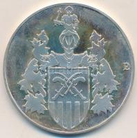 Papp László (1947-) 1994. "Kunszentmiklós város 200 éves" Ag emlékérem (29,26g/0.925/43mm)...