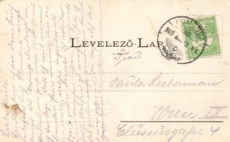 Homonna, Fő utca, Friedman Markus kereskedése, Jeszenői vár / main street, shop