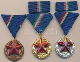 ~1970. "Közbiztonsági Érem" a rendőrség tagjai részére arany, ezüst és bronz fokozata dísztokban T:1-