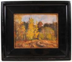 Jelzés nélkül: Erdő részlet. Olaj, karton, sérült antik keretben, 27×33 cm