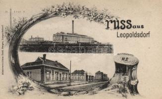 Leopoldsdorf, Zuckerfabrik / sugar factory, floral