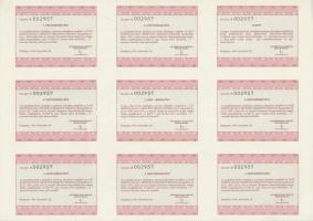 Budapest 1991. "Pharmafontana Budapest Gyógyszerellátó Vállalat" névre szóló vagyonjegy 10...