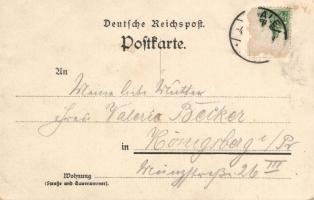 1893 (!) Ross-Trappe, Hotel zum Rosstrappe mit Winzenburg; early litho postcard (Rb)