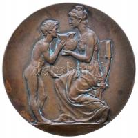 Német Államok 1909. "Erzsébet királyné Kereskedelmi Szakközépiskola" Br emlékérem. Szign.:...