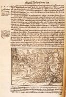 Flauij Josephi, des Hochberühmten Jüdischen Geschichtschreibers, Historien vnd Bücher:
Von alten Jüd...