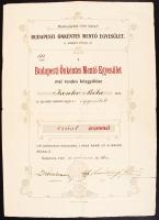 1906 Budapest, Önkéntes Mentő Egyesület ezüstérmet adományozó oklevele / 1906 Freewill Ambulance Association warrant 27x37 cm