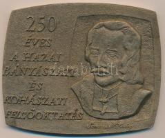 1985. "250 éves a hazai bányászati és kohászati felsőoktatás - Samuel Mikovíny" Br emlékplakett (109x89mm) T:2