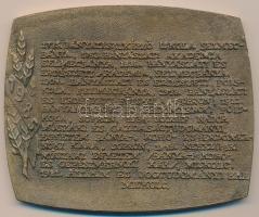 1985. "250 éves a hazai bányászati és kohászati felsőoktatás - Samuel Mikovíny" Br emlékpl...