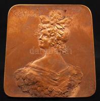 Rudolf Neuberger (1861-1916): Női portré. Bécsi bronz falikép, jelzett, 5,5×5 cm /1900 Vienna bronze plaque lady bust