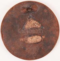 Nagy Árpád (1894-1959): Cserkész világtáborozás Magyarország Gödöllő 1933. Bronz plakett, jelzett, h...