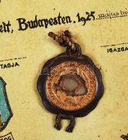 1925 Országos Magyar Hadimúzeum Egyesület Nemzeti Ereklye sorszámozott, névre szóló. Nagy-Magyarorsz...