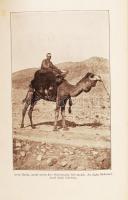 Sven Hedin: A rejtelmes India felé II. Bp, é.n., Magyar Kereskedelmi Közlöny. Kiadói, aranyozott, eg...