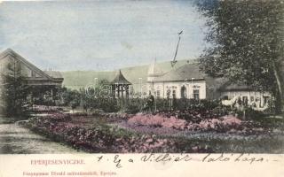 Eperjesenyicke, kastély / villa, col.