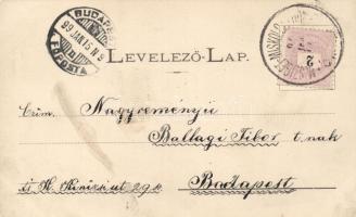 1899 Sátoraljaújhely, Vármegyeház, Kazinczy Mauzóleum, Rákóczi szülőháza Borsiban, floral; kiadja Lő...