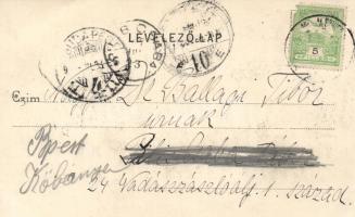 Sárospatak, Rákóczi-vár, főiskola, tanítóképezde, piactér; Palcsó László kiadása