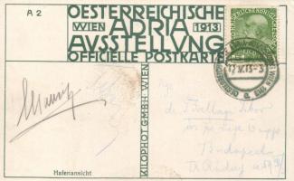 1913 Vienna, Wien; Adria Ausstellung, Hafenansicht, Wiener Kilophot, serie A2, So. Stpl s: Kalmstein...