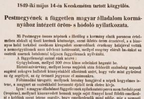 1849 Pest megyének a független magyar álladalom kormányához intézett öröm és hódoló nyilatkozata 25x...